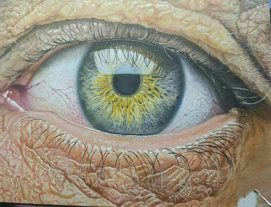 hyper realistic art hariprasad sukumaran hari arts academy best realistic art painting best realistic painting in the world best hyper realistic artist